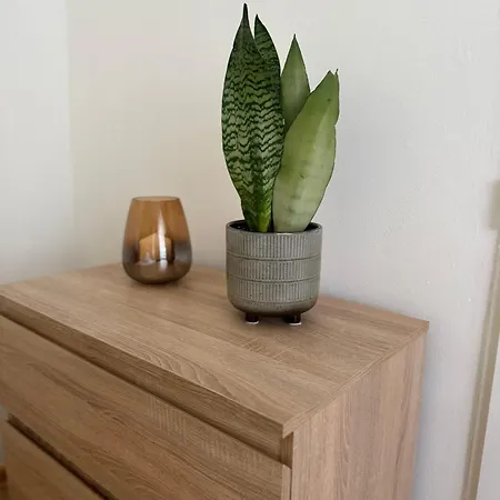 Domcek Matiyas No Parties Allowed Trencin