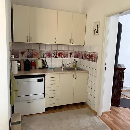 Domcek Matiyas No Parties Allowed *