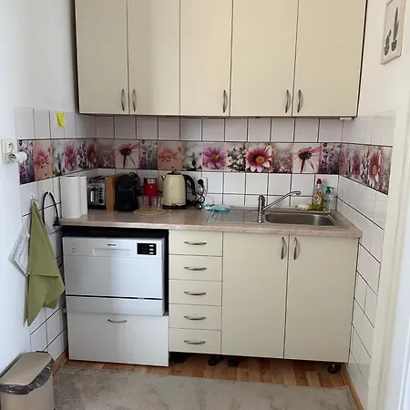 Domcek Matiyas No Parties Allowed