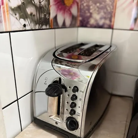 Domcek Matiyas No Parties Allowed Дом отдыха