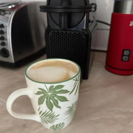 Domcek Matiyas No Parties Allowed Trencin