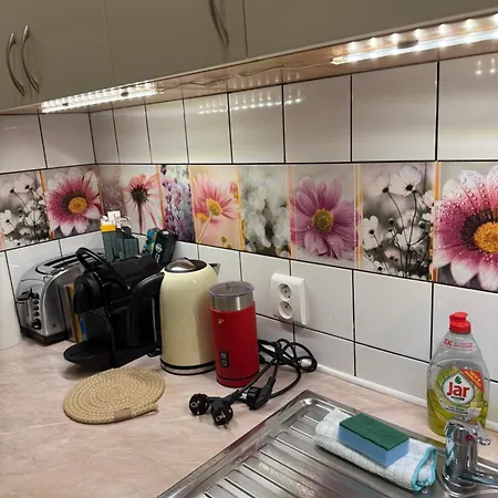 Domcek Matiyas No Parties Allowed * Trencin